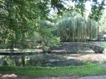 Picture 013